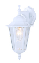 Canarm IOL211 - Outdoor, 1 Bulb Downlight, Clear Glass, 100W Type A or B, 3 .5 IN W x 6 IN H x 6 IN D