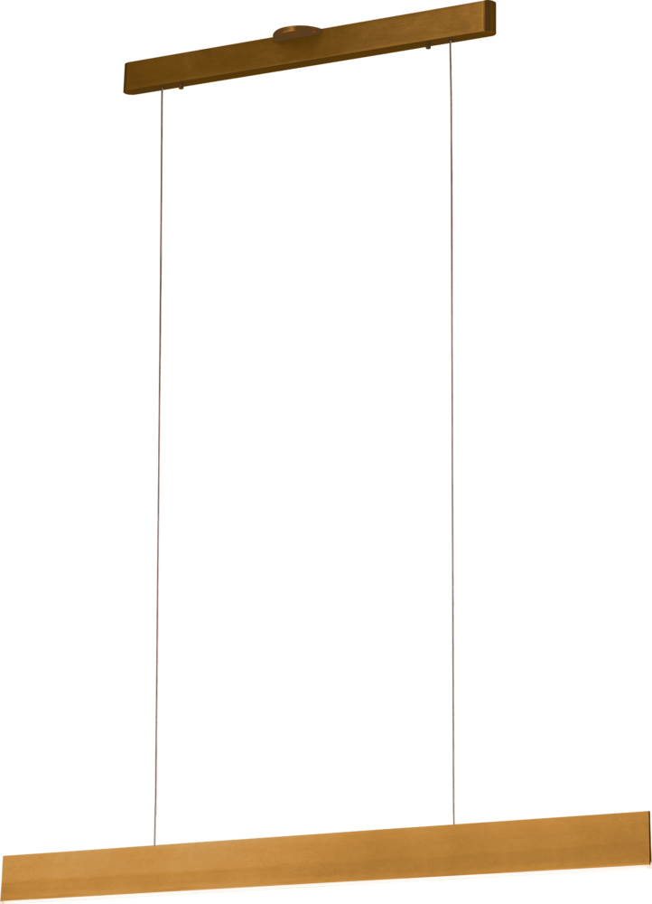 Prometheus Single Light Linear Pendant